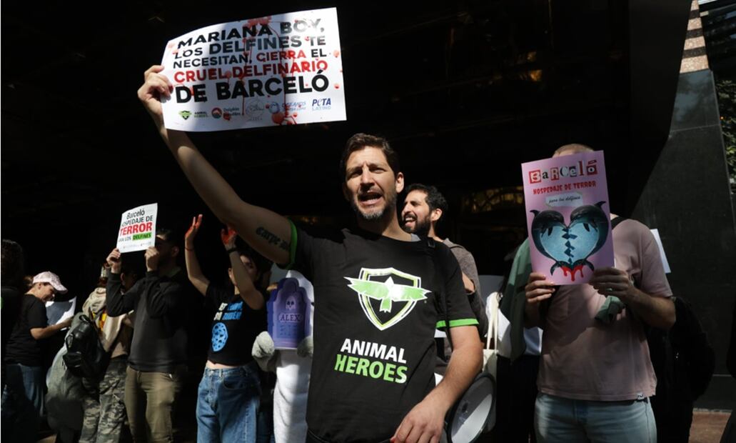 Activistas en Barceló Reforma pidieron a la titular de la Profepa cerrar el delfinario de Barceló Riviera Maya, tras el maltrato que se observa en un video que circuló en redes sociales. Foto: Carlos Mejía/EL UNIVERSAL