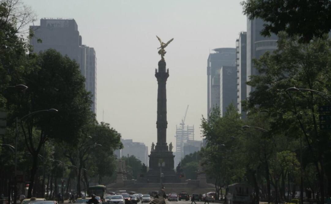 Foto: Juan Boites/EL UNIVERSAL