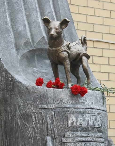 Cuando la perra Laika voló por el cielo de México, durante su viaje espacial en el Sputnik II