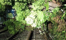 Tren Ligero opera con servicio provisional; caída de árbol afecta tramo hacia Xochimilco