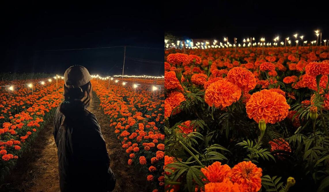Fotos: Facebook Campo Iluminado San Antonino “Tierra de las Flores”