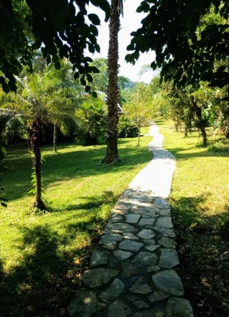 Plan de Guinea, paraíso secreto de Puebla con cabañas y más de 30 cascadas