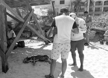 Buscan a responsable de ahogar al perrito "Zeus" en Playa del Carmen