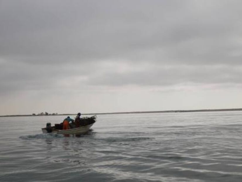Capta noroeste 66% del subsidio a pesca en México