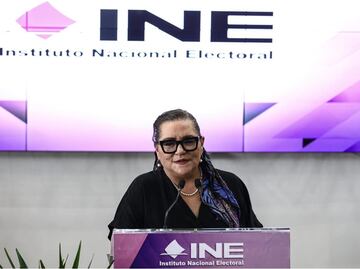 Taddei responde a nuevas atribuciones en el INE; no afecta colegialidad, afirma