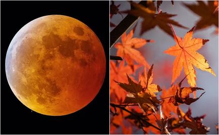 Eclipse Lunar, Equinoccio de Otoño y otros eventos astronómicos de septiembre 2024