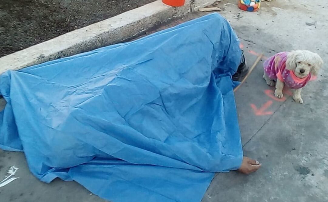 Foto: L. Figueroa/ EL GRÁFICO 