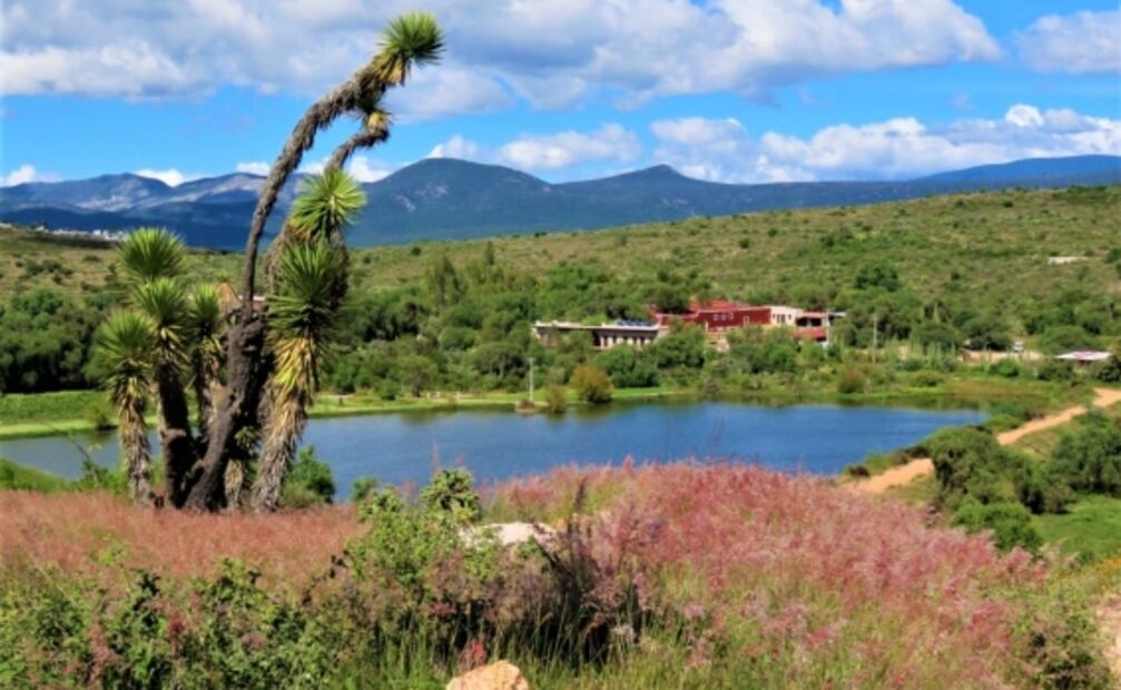 Convive con caballos y pasea en kayak en una hacienda de Querétaro 