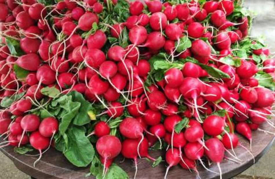 7 alimentos que deben comer los niños vegetarianos