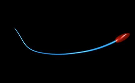 Así descubrieron científicos mexicanos el verdadero movimiento de espermatozoides