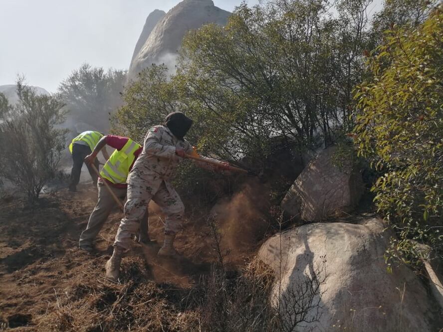 Foto: Twitter @SSPCMexico
