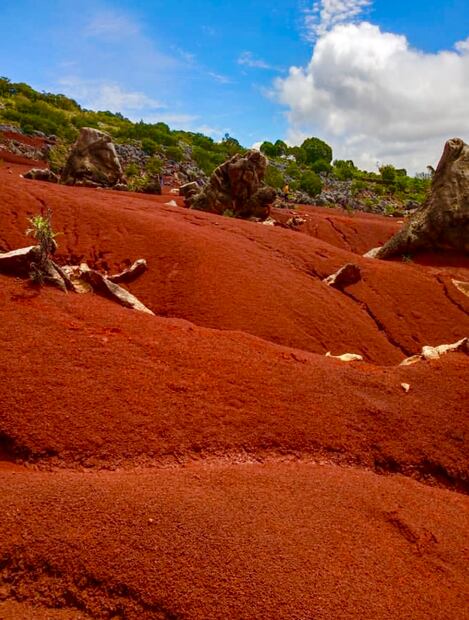 Foto: Instagram @wabi88