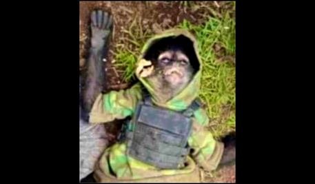 Cuando un mono araña fue muerto en Texcaltitlán, Edomex