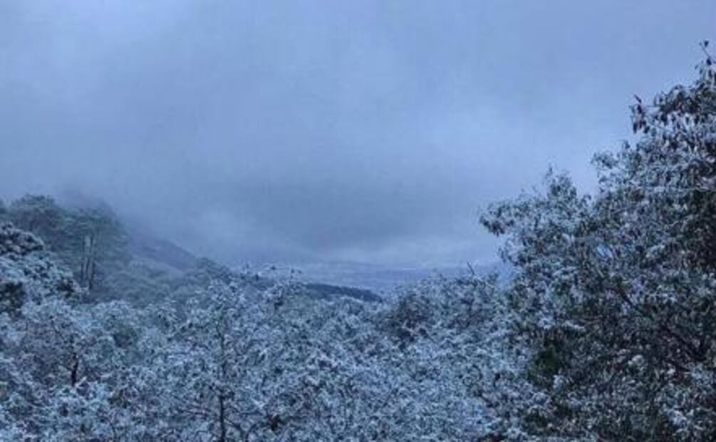Nieve cubre montañas de Nuevo León