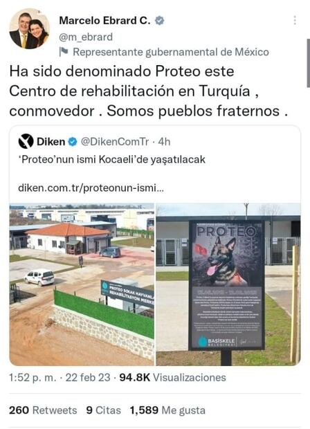 Proteo: Refugio de animales en Turquía lleva el nombre del perro rescatista