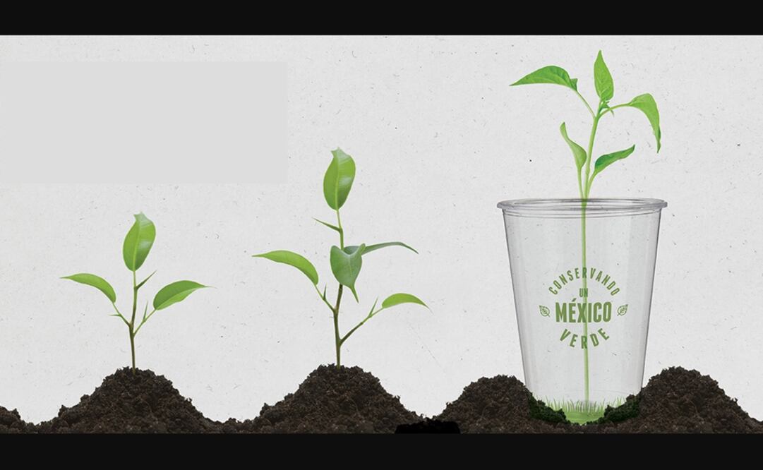 In 2010, Carlos Camacho had the vision of making biodegradable products such as compostable straws, cups for cold drinks, and other disposable products made from corn starch - Photo: Taken from Ecoshell's official website
