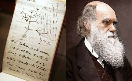A 140 años de su muerte, las frases más célebres de Charles Darwin