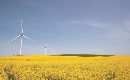 PRI, PAN, PRD y hasta el Verde van por echar abajo acuerdo energético