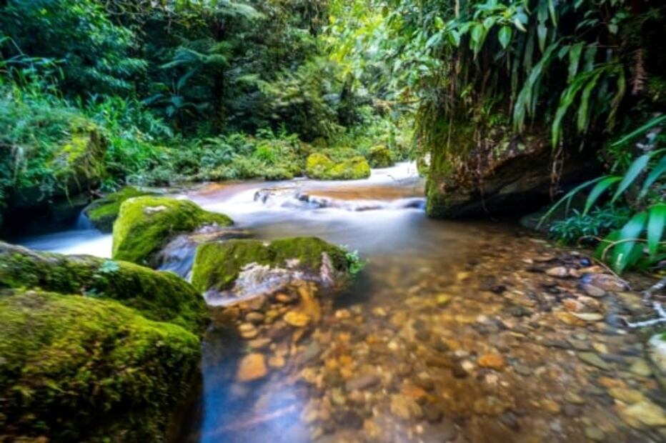 La Escondida, un parque ecoturístico con pozas y cascadas en Cuetzalan