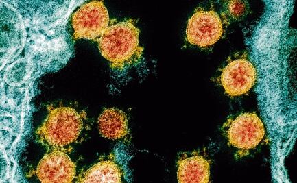 ¿Qué sabemos de la variante del Covid-19 hallada en la India que llegó a México?