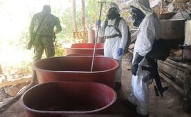 Desmantelan narcolaboratorio en Guerrero ligado a "Los Arreola"; aseguran más de 300 kilos de metanfetamina