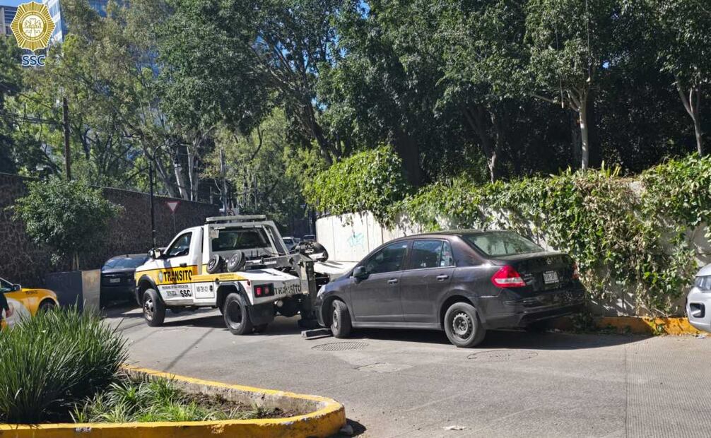 Dos vehículos fueron llevados a un depósito vehicular. (26/11/2024). Foto: Especial
