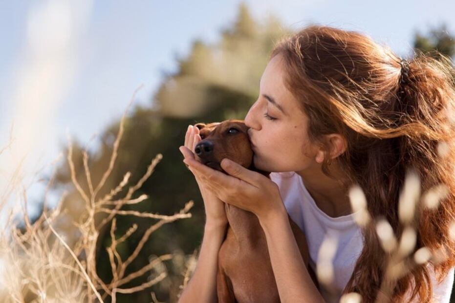 Los perros y la salud femenina. Fuente: Freepik