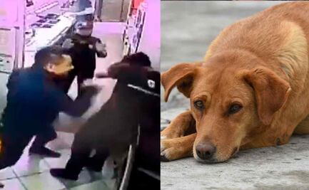 Denuncian a atacante de empleado de Subway en SLP por moler a golpes a un perro