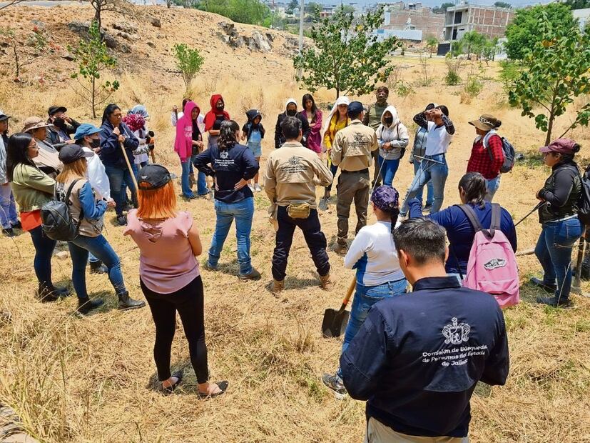 Los colectivos pueden acudir al sitio de experimentación para que observen los avances del proyecto. Foto: especial