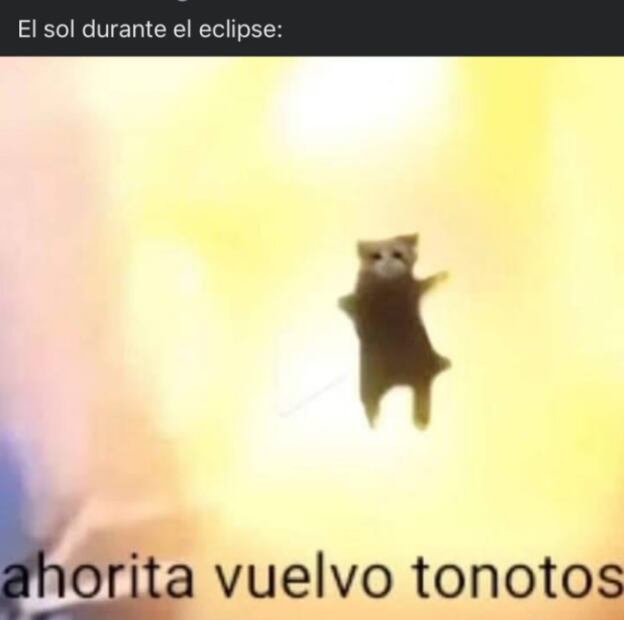 Foto: Vía X