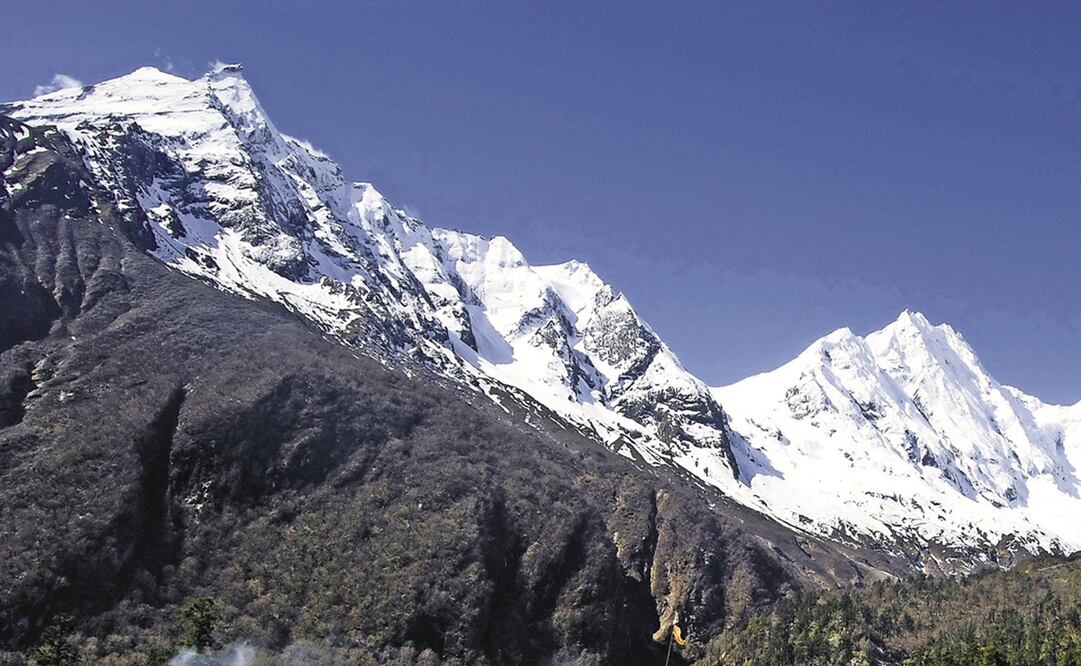 Foto: Archivo EL UNIVERSAL 