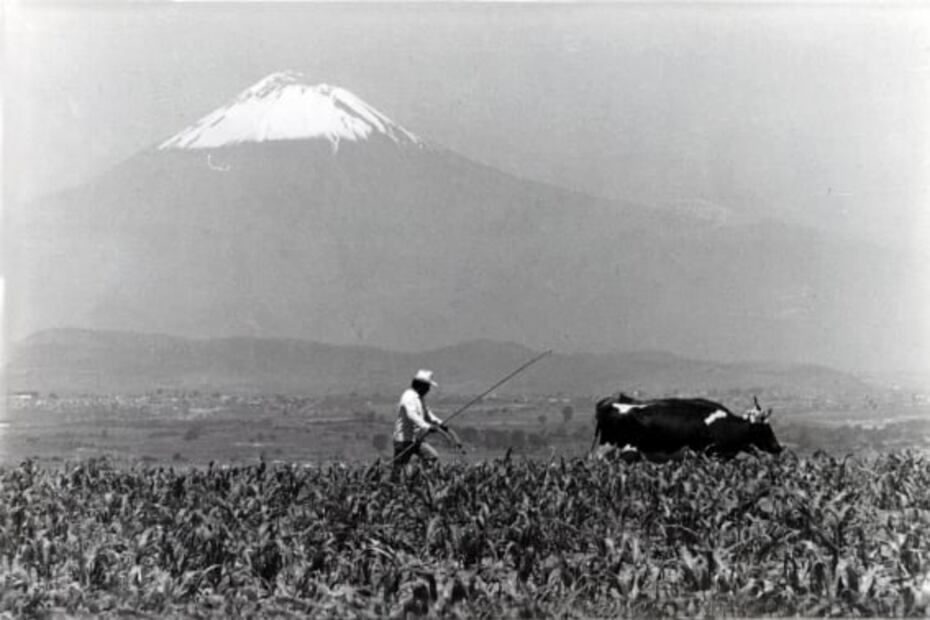 Un oficio que nació en los volcanes