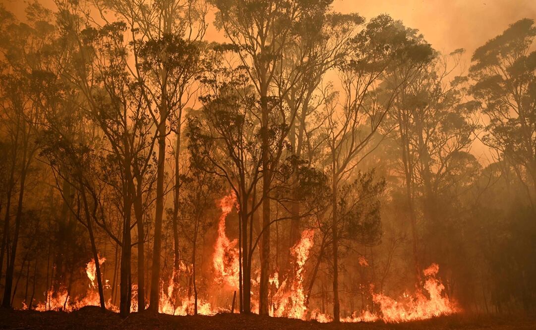 Foto: AFP