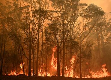 Más de 200 incendios activos han dejado al menos 23 muertos en Australia