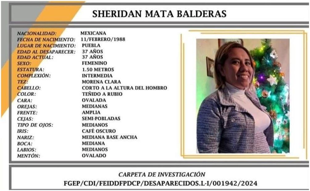 Ficha de búsqueda de la activista Sheridan Mata Balderas en Puebla (27/12/2024). Foto: Especial