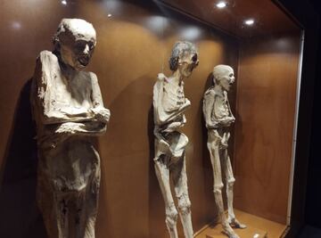 Se llevan de paseo a las momias de Guanajuato... sin permiso del INAH