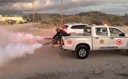 Dengue aumenta en Baja California Sur; hay más de 2 mil casos confirmados