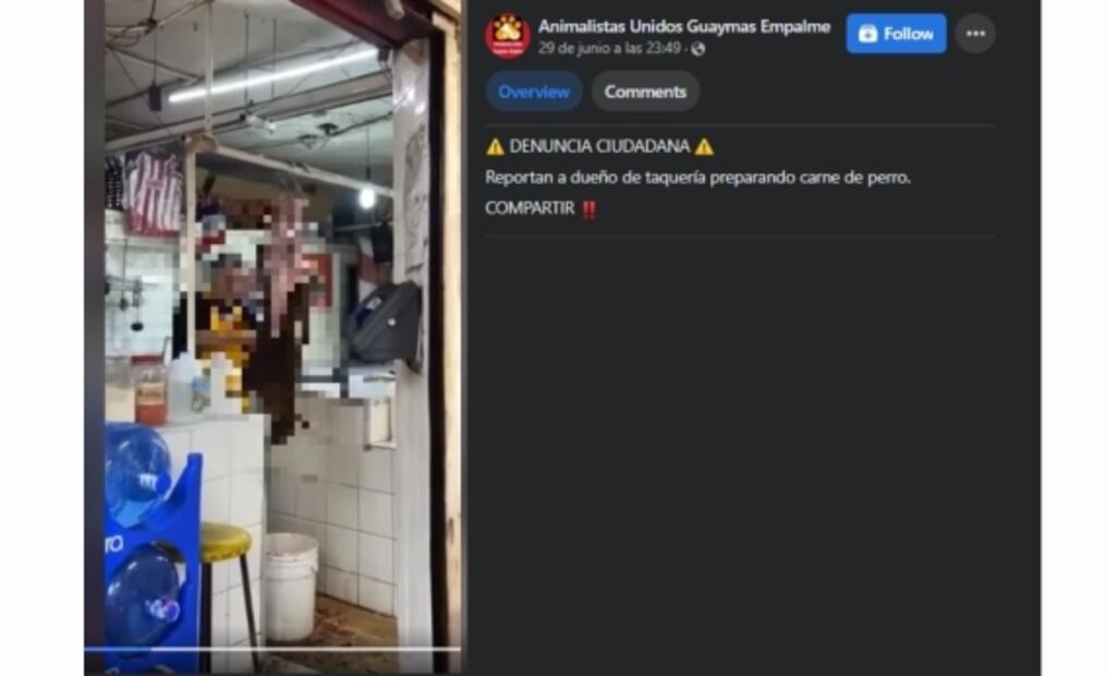 Captan a carnicero desollando a perro para vender su carne en mercado de Sonora