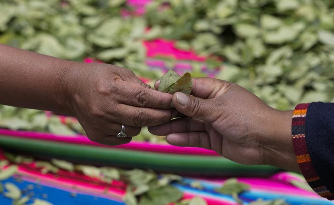 Mujeres comparten hojas de coca durante el Día Nacional de Mascar Hoja de Coca en La Paz, Bolivia. Foto: AP 