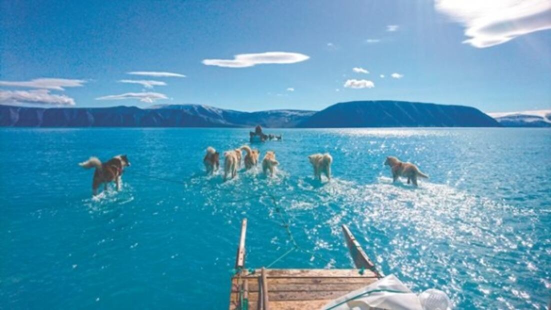 El Foco. Mejor Sor Juana twittera que Sanjuana gandalla