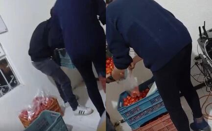 Morena ofrece jitomates a cambio de afiliarse al partido; piden apoyar al hijo del subprocurador de justicia de Hidalgo quien busca cargo