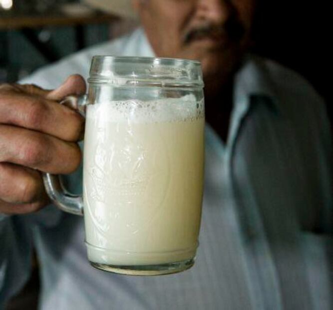 Qué habrá en el Festival del Pulque en la CDMX