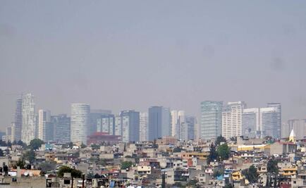 Revisa Profepa 88 empresas por contingencia ambiental