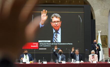 Inadmisible, que TEPJF pretenda ponerse por encima del Senado, advierte Monreal