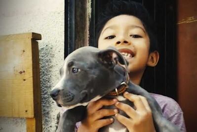 Tras sismo, Asaf y su mascota duermen en la calle