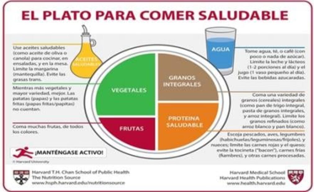 Alimentos que debe contener una comida ideal según científicos de Harvard