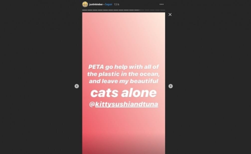 Justin Bieber estalla contra PETA en defensa de sus gatos exóticos