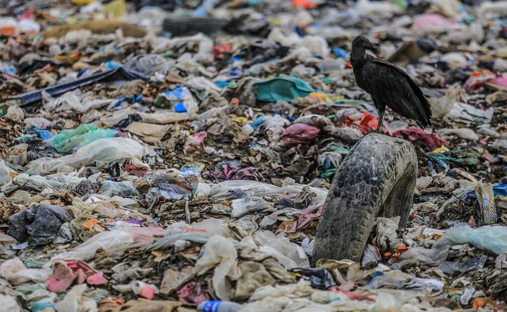 Foto: "Los ecologistas, con toda razón, lograron convencernos de que la degradación del medio ambiente nos atañe a todos", dice Martín Caparrós en entrevista. En la imagen, un vertedero de residuos. Foto: archivo/EL UNIVERSAL