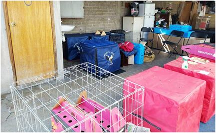 Desalojan predio en Ecatepec donde realizaban peleas de gallos y fiesta de manera clandestina