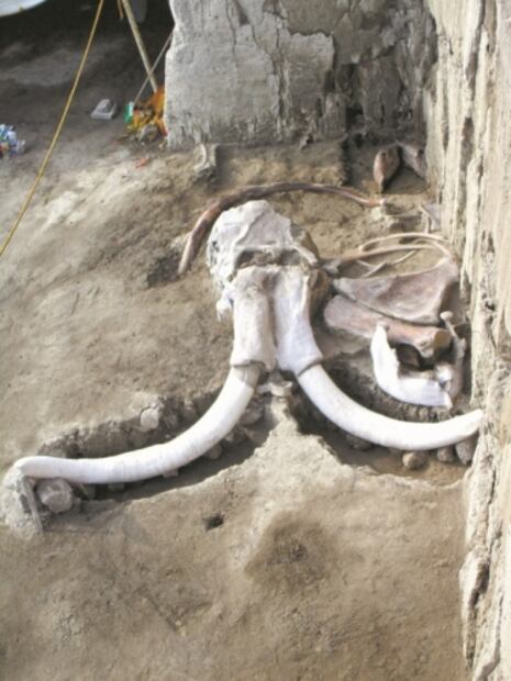 El Foco. El doctor físico-matemático contra los bots